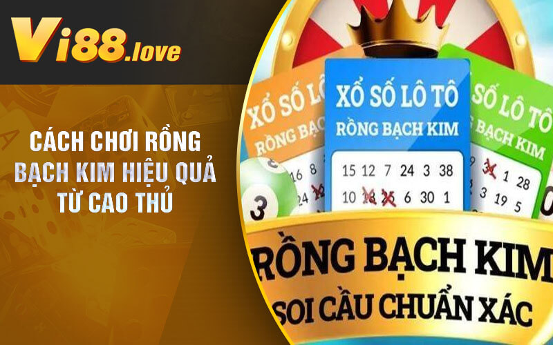 Cách Chơi Rồng Bạch Kim Hiệu Quả Từ Cao Thủ